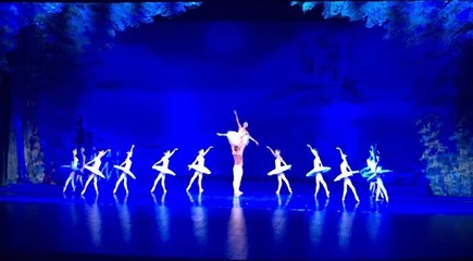 回顧與展望 河北省演出行業(yè)協(xié)會30周年座談會在石家莊聚焦?fàn)I業(yè)性演出新篇章